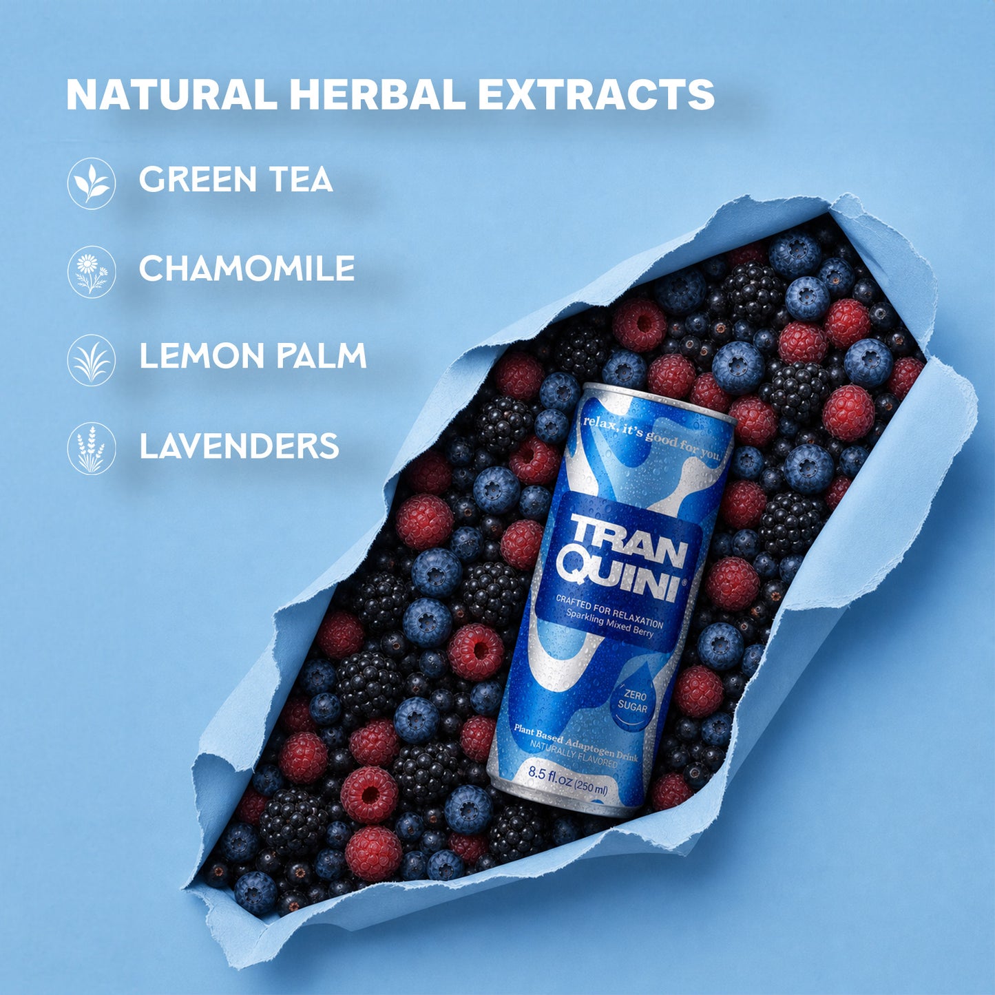 Tranquini Mixed Berry Flavour Sparkling Hydrating Tonic