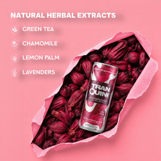 Tranquini Hibiscus Flavour Sparkling Hydrating Tonic